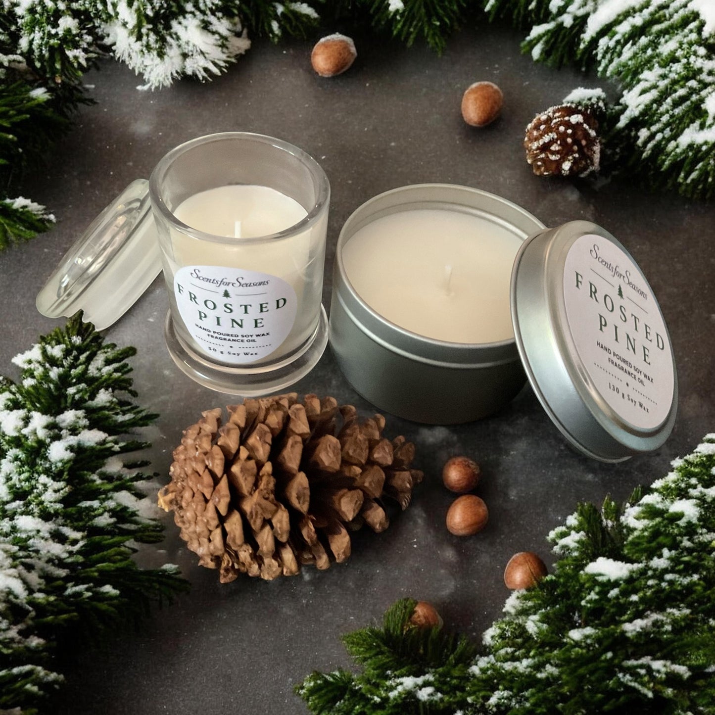 Frosted Pine Limited Edition Gift Box - curated gift set 🌲